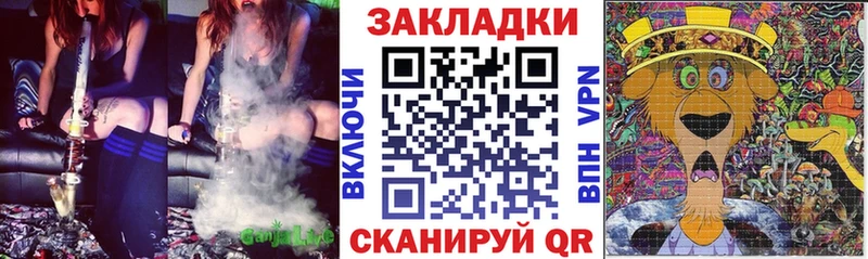 Купить закладку A PVP  АМФ  ГАШИШ  КОКАИН  Галлюциногенные грибы  Меф мяу мяу  Егорьевск