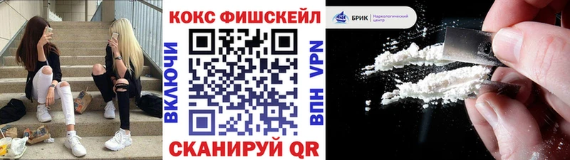 Купить закладки  Егорьевск  КОКАИН Fish Scale 