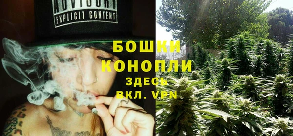 ПСИЛОЦИБИНОВЫЕ ГРИБЫ Каменногорск