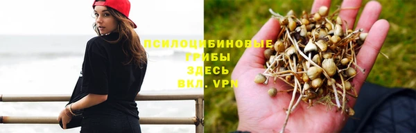метадон Карталы