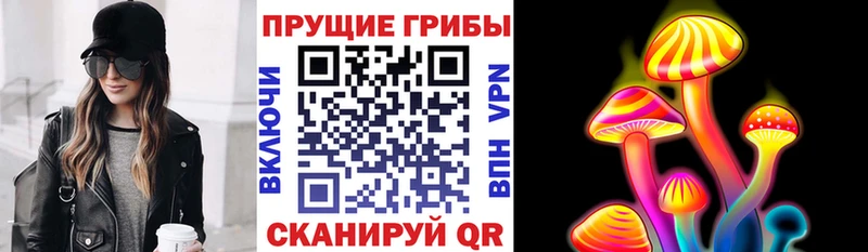 Галлюциногенные грибы GOLDEN TEACHER  Купить где  Егорьевск 